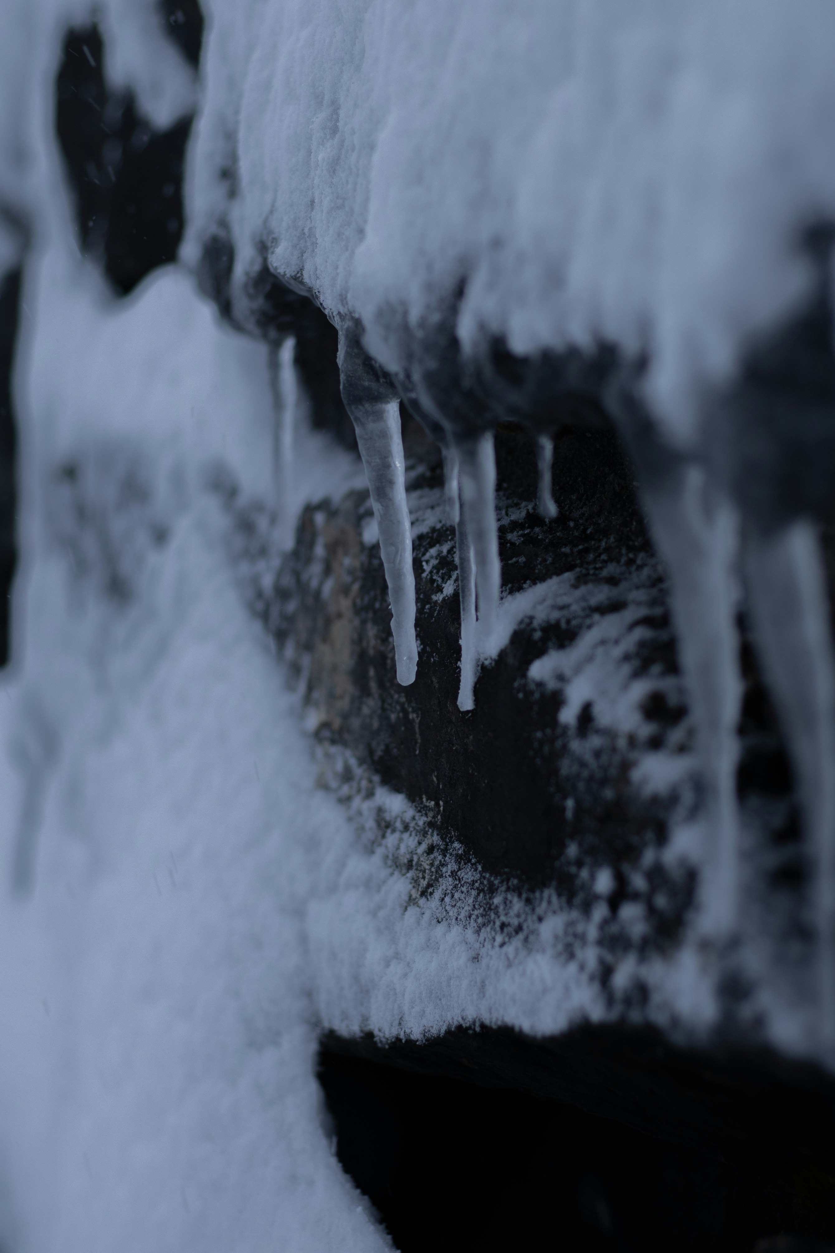 snow covered ground during daytime